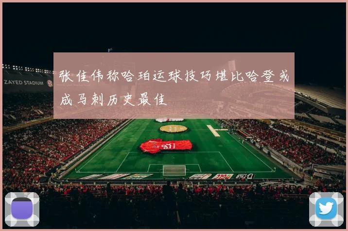 张佳伟称哈珀运球技巧堪比哈登或成马刺历史最佳
