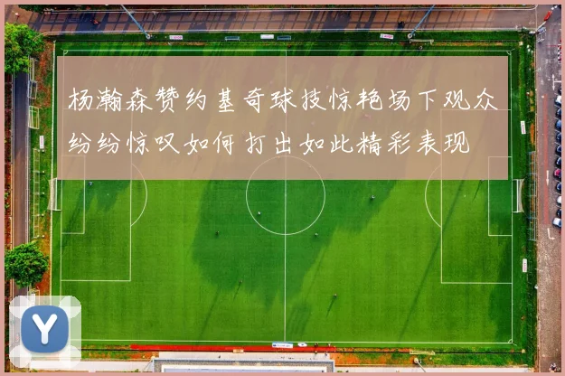 杨瀚森赞约基奇球技惊艳场下观众纷纷惊叹如何打出如此精彩表现