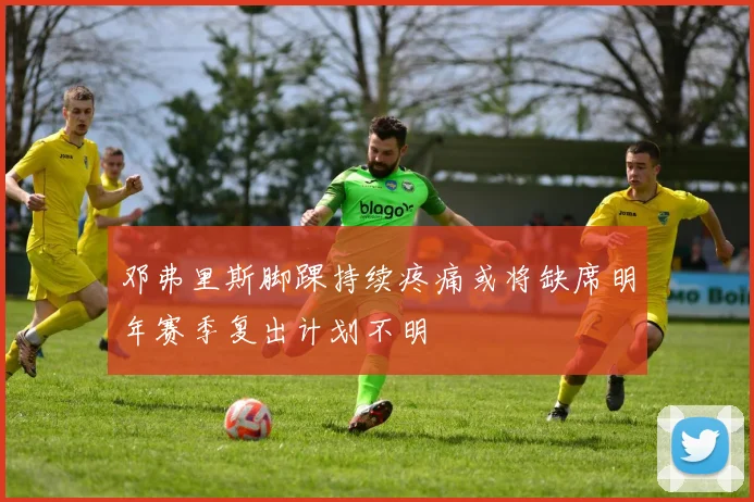 邓弗里斯脚踝持续疼痛或将缺席明年赛季复出计划不明